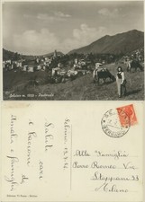 SELVINO -BERGAMO -PASTORALE MUCCHE CONTADINA  CARTOLINA