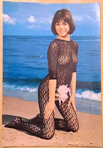 Lotto postcard cartoline - di, 2