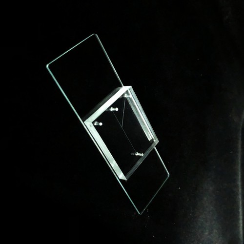 1pz microfluidico bio - microfluidico,