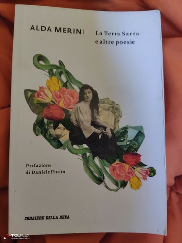 Alda merini terra santa - merini,