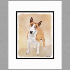 Miniatura Bull Terrier cane