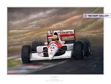 Quadro dipinto stampa ayrton - quadro,