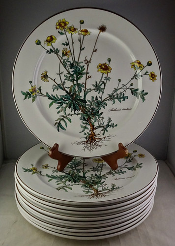 Villeroy boch botanica - &,