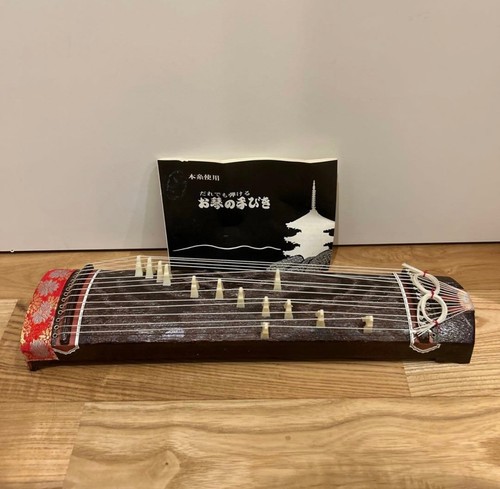 Mini koto corde - mini, 13