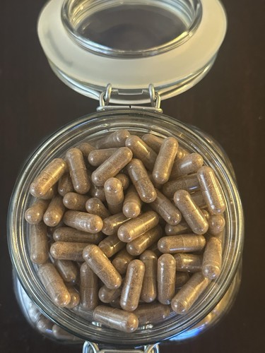 Kigelia africana capsule - kigelia,