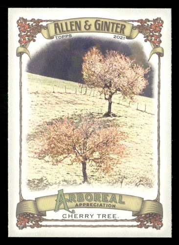 2021 topps allen ginter - topps, &