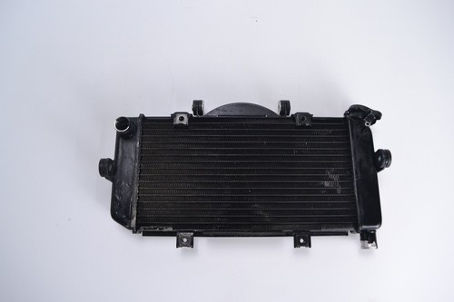 Radiatore yamaha tdm - yamaha,