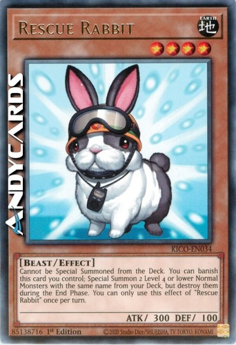 Rescue rabbit coniglio - rabbit, (coniglio