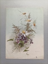 A Bailly cromolitografia Piante Viola Adorata