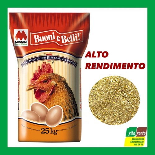 Mangime completo per uova - mangime,