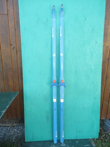 Bellissimi vecchi sci vintage - vecchi,