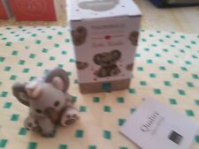 Meraviglioso Koala con