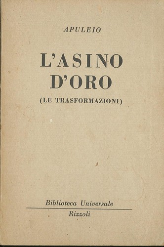 Asino oro le - l'asino, (le
