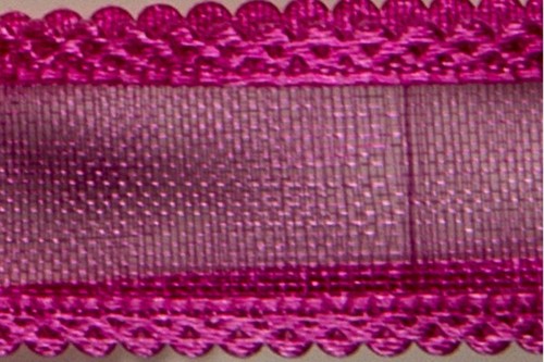 Nastro organza termo bordata