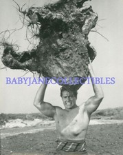 GORDON SCOTT HERCULES MASSO