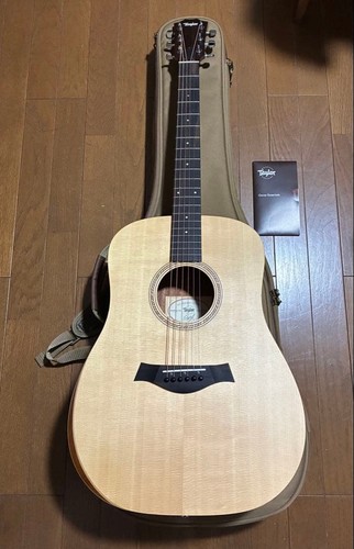 Chitarra elettrica acustica