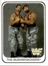 card wwf wrestling merlin 1991