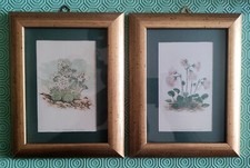 Coppia Quadri Fiori Leggere