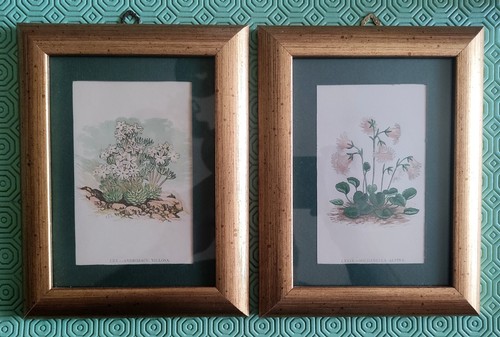 Coppia quadri fiori leggere - quadri,