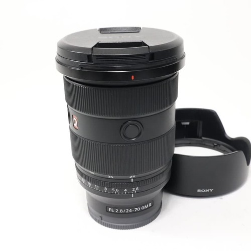 Quasi perfetto sony - perfetto, sel2470gm2