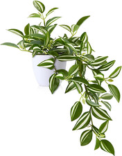 Pianta Finta Cadente 25Cm