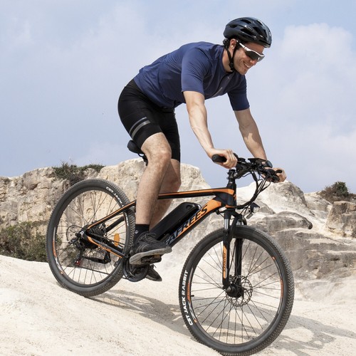 Fafrees bicicletta elettrica - fafrees,