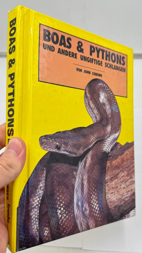 Boas pitoni altri serpenti - boas,