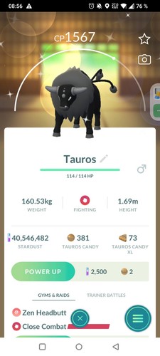 Shiny paldean tauros combat - shiny,