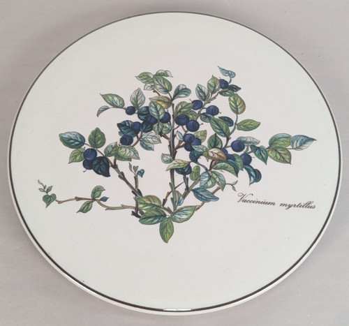 Villeroy boch botanica - &,