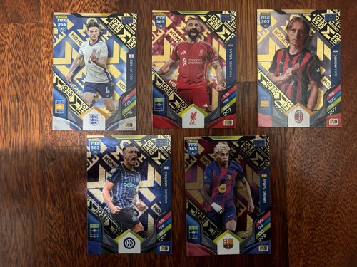 Fifa 365 momentum panini - 365,