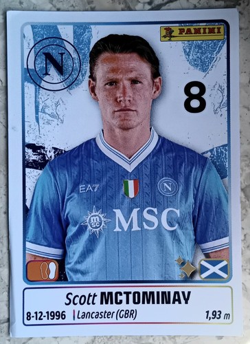 Figurina calciatori panini - figurina,