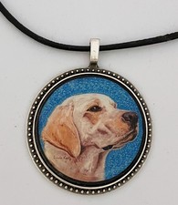 Labrador Retriever Dog