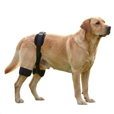 Tutore Anca per Cani di Taglia