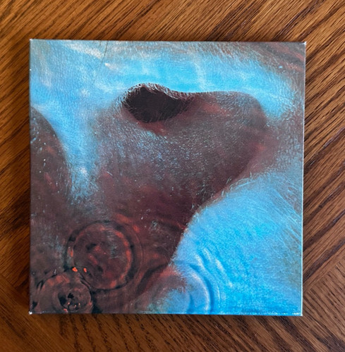 Pink floyd meddle japanese - floyd,