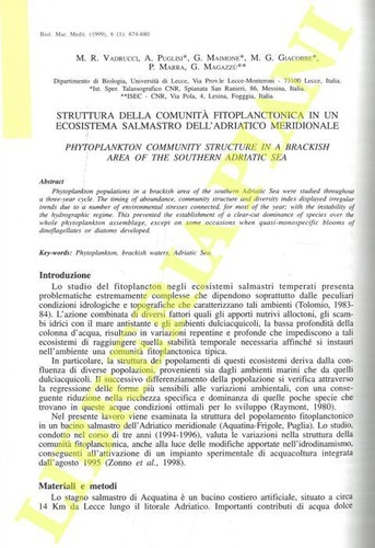 Vadrucci puglisi a - m.r.,,