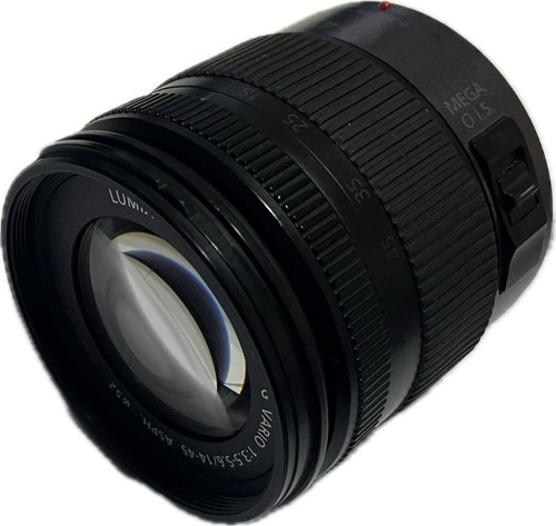 Panasonic lumix vario - g,