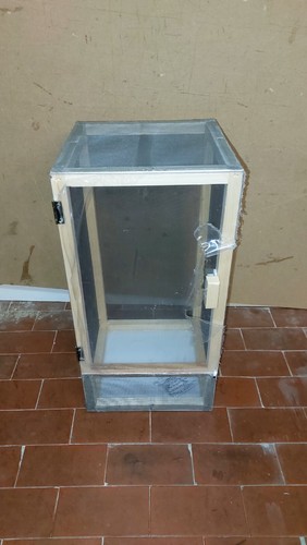 Teca terrario insetti rettili