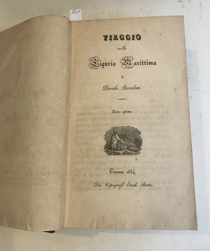 Bertolotti davide viaggio - bertolotti,
