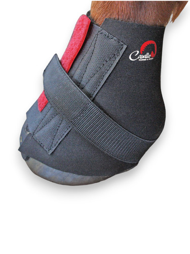 Toklat cavallo impacchi - toklat,