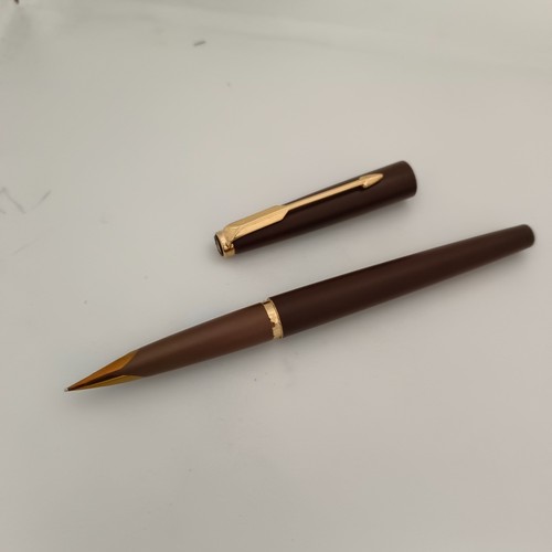 Penna stilografica parker - stilografica,