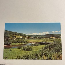 Margaree Valley Nova Scotia Cape Breton Island Canada River Vintage Postcard