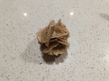 Rosa del deserto - rosa, di