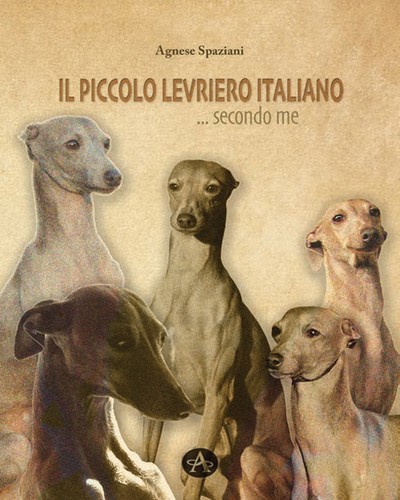 Piccolo levriero - il,