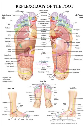 Poster riflessologia del piede - poster,