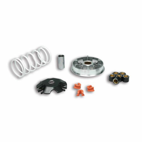 Malossi m5117717 variatore - malossi,