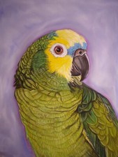 Dipinto originale pappagallo