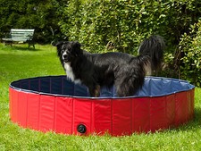 PISCINA PER CANI CM.120X30