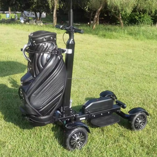 Carrello scooter elettrico - scooter,