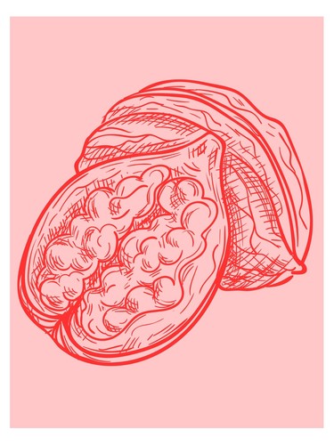 Poster frutta rossa arte - frutta,