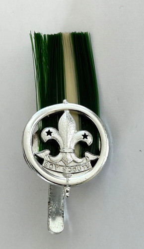 Boy scouts vintage scoutmaster - boy,
